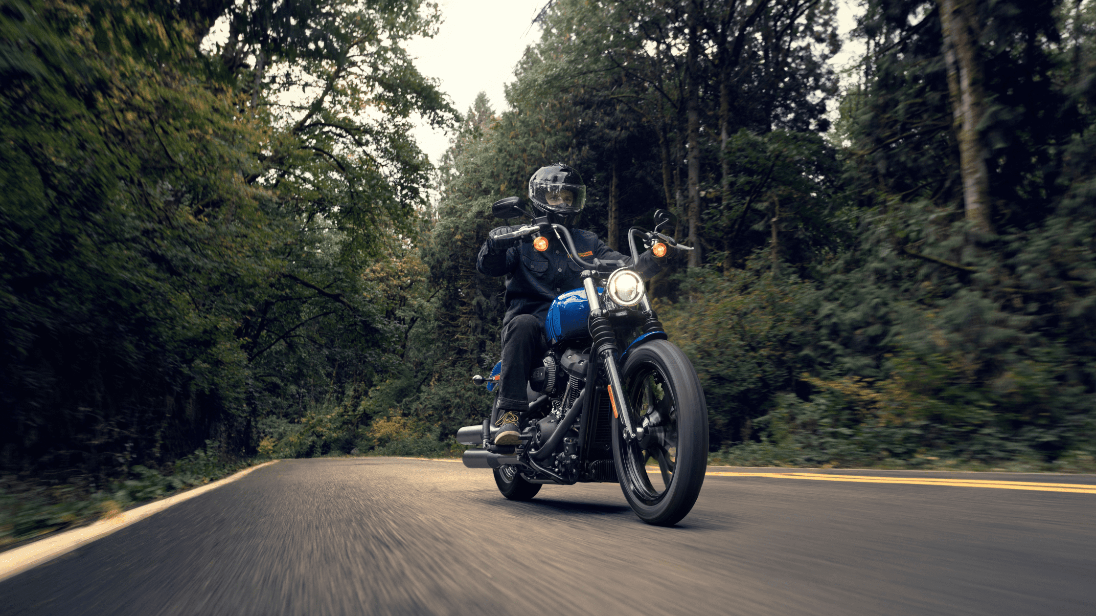 The 2024 Harley-Davidson® Street Bob® 114 near Covington, GA