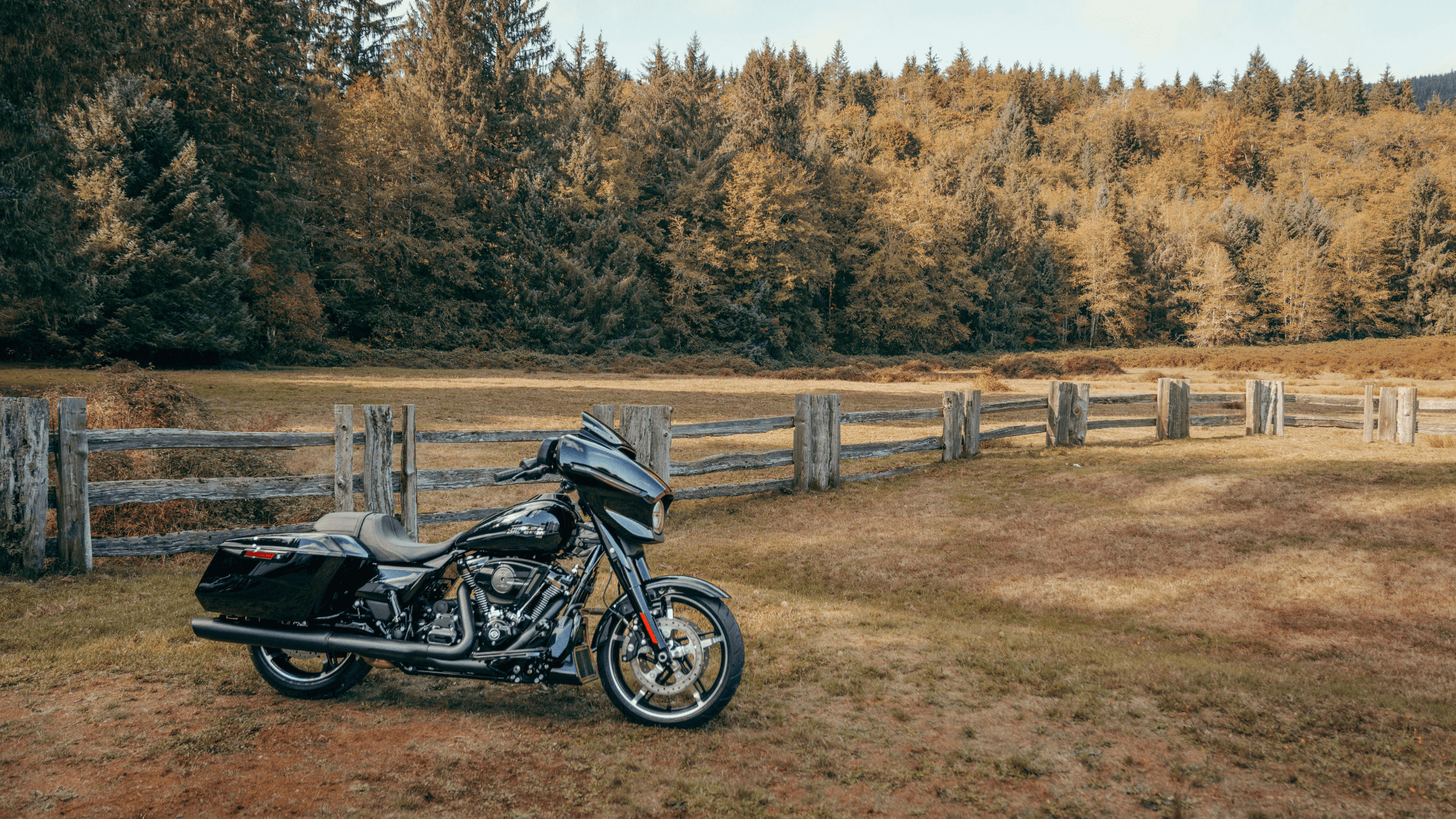 The 2024 Harley-Davidson® Street Glide® near Covington, GA